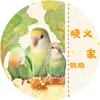 啊是晓义🦜