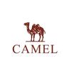 骆驼户外CAMEL-越姐