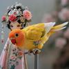 老板娘（鹉仟万）