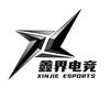 鑫界电竞
