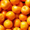 mandarin orange