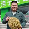 洁子哥超级水果批发行