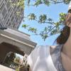 曦颜女装