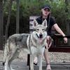 CKU锐莎捷克狼犬舍