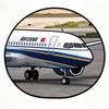 一架降落的南航737(冲1000粉)