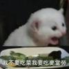 萌打游戏