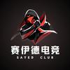 赛伊德电竞（缺人版）