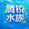 腾锐水族