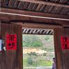 南山有茶