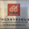 平阳县凯森实业有限公司