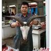 小黄农味精选