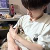 Yy的泡泡猫