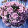 芳香花园臻选阁
