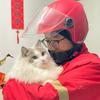 外卖大叔学养猫