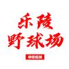 乐陵野球场