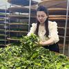 顶级茶茗滴滴香