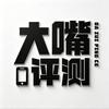 大嘴评测·鹏同学