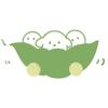 毛绒豆子官方号
