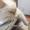 嗷嗷帅的大帅哥