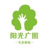 阳光广照