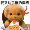不知叫啥名
