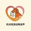 杭州流浪动物发声