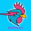 野鸡先生乄少年