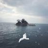 苏念（晚上11.00直播）
