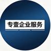 专壹企服