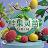 桂果灵苗