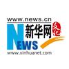 新华网文化