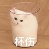 6子（嗑西皮版