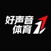 好声音体育专营店