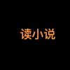 读小说