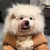 大熊🐻