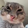 爱慕
