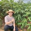 广东秋时农业五指毛桃-老谭