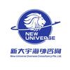 新大宇海外咨询