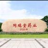 大健康产品代加工萍