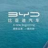 比亚迪新能源