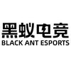 郑州·黑蚁电竞