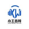 小王耳机