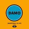 大毛DAMO