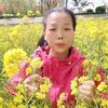 大众肴菜