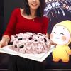 捡破烂补恒科（补成巴菲特）