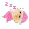 DT-ootd🐰（聪明的人👀主页