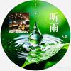 听雨·入梦