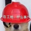 龚作人员