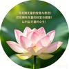 归林（跟上马老师学生物）