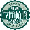 虹越庭院植物